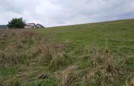 Teren extravilan 3592 in zona Iris 