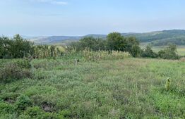 Casa cu teren generos, 82 mp construiti si teren 1450 mp in Deusu - Chinteni