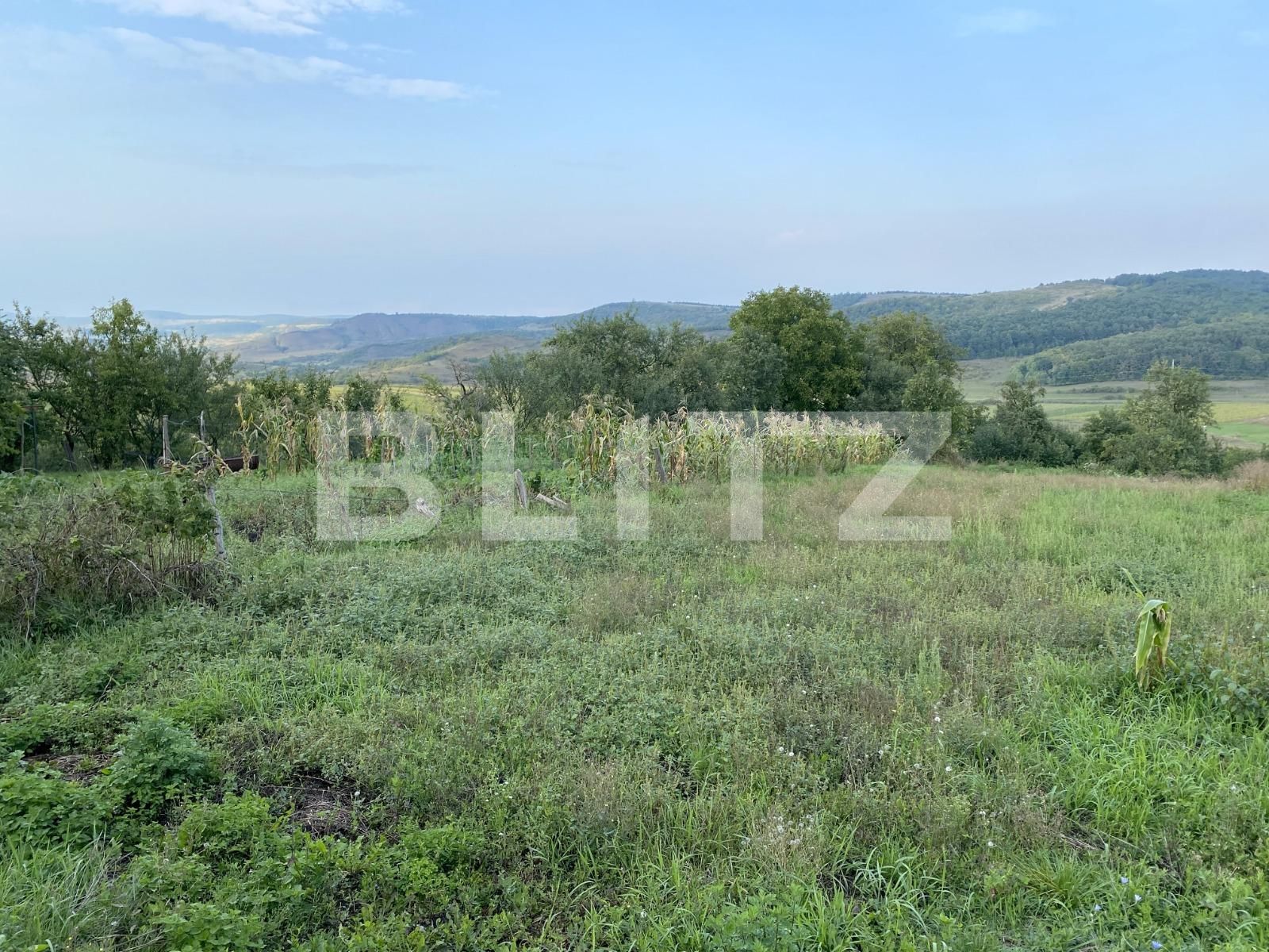 Casa de vânzare 2 camere Chinteni - 73388CV | BLITZ Cluj-Napoca | Poza4