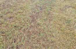 Oportunitate! Teren pentru constructie de imobile cu regim mic de inaltime, zona Muzeul Apei