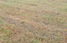 Oportunitate! Teren pentru constructie de imobile cu regim mic de inaltime, zona Muzeul Apei