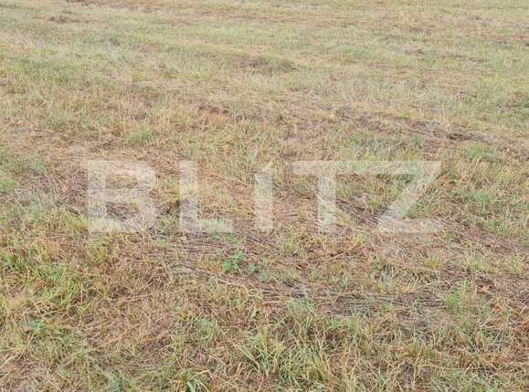 Teren de vânzare Floreşti - 73400TV | BLITZ Cluj-Napoca | Poza2