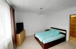 Apartament 2 camere decomandate, zona Roata Faget!