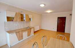 Apartament 2 camere, zona strazii Florilor!