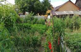 Casa de 120 mp utili, 800 mp teren, mobilata, comuna Hoghiz