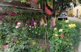 Casa de 120 mp utili, 800 mp teren, mobilata, comuna Hoghiz