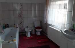 Casa de 120 mp utili, 800 mp teren, mobilata, comuna Hoghiz