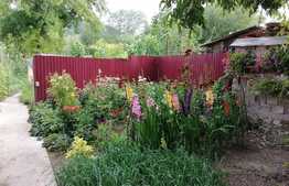 Casa de 120 mp utili, 800 mp teren, mobilata, comuna Hoghiz