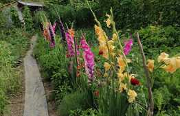 Casa de 120 mp utili, 800 mp teren, mobilata, comuna Hoghiz