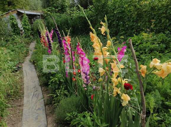 Casa de vânzare 9 camere Nord-Est - 73425CV | BLITZ Brașov | Poza15