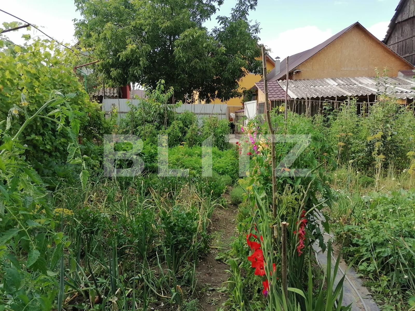 Casa de vânzare 9 camere Nord-Est - 73425CV | BLITZ Brașov | Poza16