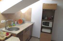 Vanzare mansarda cu 2 camere, 56 mp utili, zona strazii Florilor, imobil nou!