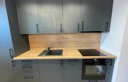 Apartament tip studio, lux, 40 mp, parcare subterana, Record Park