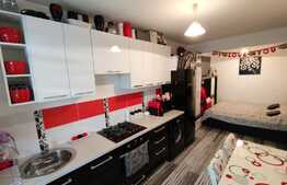 Apartament 2 camere, zona Sub Cetate!