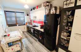 Apartament 2 camere, zona Sub Cetate!