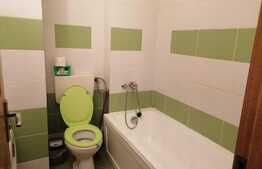 Apartament de 2 camere, 40mp, pet friendly, zona strazii Oasului