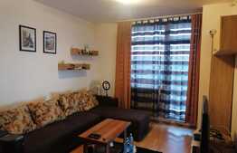 Apartament de 2 camere, 40mp, pet friendly, zona strazii Oasului