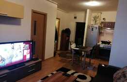 Apartament de 2 camere, 40mp, pet friendly, zona strazii Oasului
