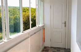 Apartament de 2 camere, decomandat, 56 mp, zona strazii Parang