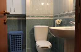 Garsoniera spatioasa, 40 mp, centrala proprie, zona strazii Traian Mosoiu