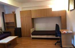 Garsoniera spatioasa, 40 mp, centrala proprie, zona strazii Traian Mosoiu
