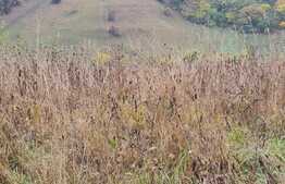 Teren extravilan in zona Sanaslau