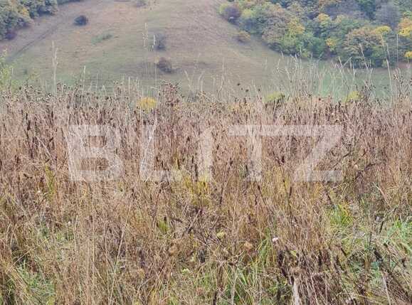 Teren de vânzare Floreşti - 73573TV | BLITZ Cluj-Napoca | Poza1