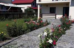 Casa de vanzare, 5300 mp teren, in Bod!