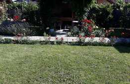 Casa de vanzare, 5300 mp teren, in Bod!