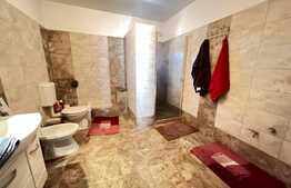 Casa de vanzare, 5300 mp teren, in Bod!