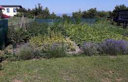 Casa de vanzare, 5300 mp teren, in Bod!