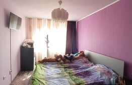 OPORTUNITATE! Apartament 2 camere , zona Muzeul Apei !