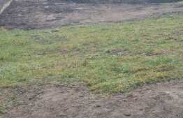 Oportunitate de ivestitie, utilitati, drum asfaltat, zona Terra