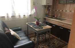 Garsoniera de 38 mp, pet friendly, zona Piata 14 Iulie