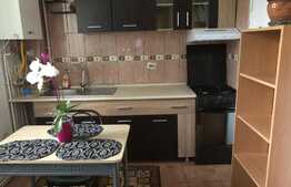 Garsoniera de 38 mp, pet friendly, zona Piata 14 Iulie