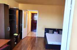 Garsoniera de inchiriat, 30 mp, zona BIG, Manastur