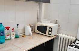 Garsoniera de inchiriat, 30 mp, zona BIG, Manastur