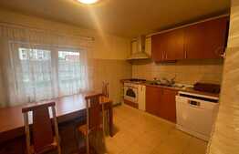 Apartament 3 camere, 110 mp, parcare, zona C-tin Brancusi