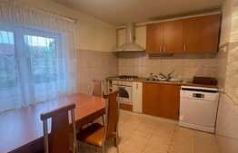 Apartament 3 camere, 110 mp, parcare, zona C-tin Brancusi