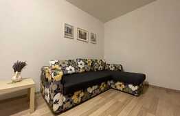 Apartament de 2 camere, balcon, garaj, zona strazii Corneliu Coposu