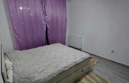 Apartament 2 camere, 47 mp, proaspat renovat, zona Porii!!!