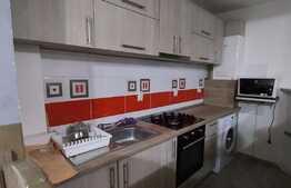 Apartament 2 camere, 47 mp, proaspat renovat, zona Porii!!!