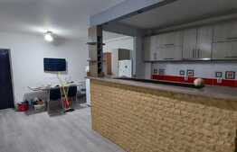 Apartament 2 camere, 47 mp, proaspat renovat, zona Porii!!!