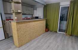 Apartament 2 camere, 47 mp, proaspat renovat, zona Porii!!!