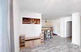 Oportunitate pentru investitie! Apartament 2 camere, 44mp, parcare! Zona Tineretului