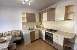 Apartament de 2 camere, decomandat, 50 mp, zona Regionala CFR