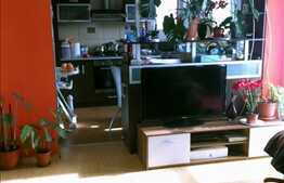 Inchiriere apartament 2 camere, imobil nou zona USAMV! Cu parcare!