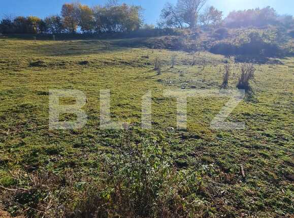 Teren de vânzare Floreşti - 74000TV | BLITZ Cluj-Napoca | Poza1