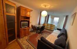 Apartament de 2 camere, 40 mp, acces la curte, zona strazii Romul Ladea