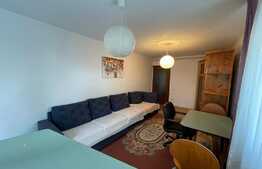 Apartament de 2 camere, 40 mp, acces la curte, zona strazii Romul Ladea